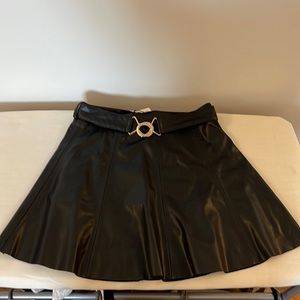 NWT Zara Skirt